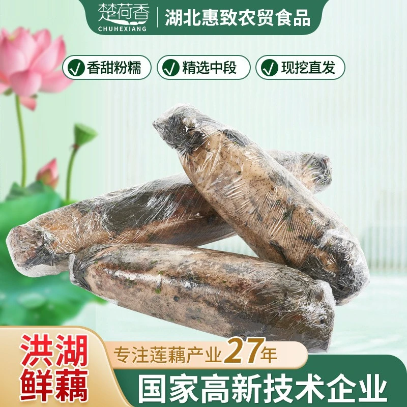 楚荷香汉川粉藕新藕汉川藕煲汤粉藕新鲜莲藕红藕老藕湖北特产批发