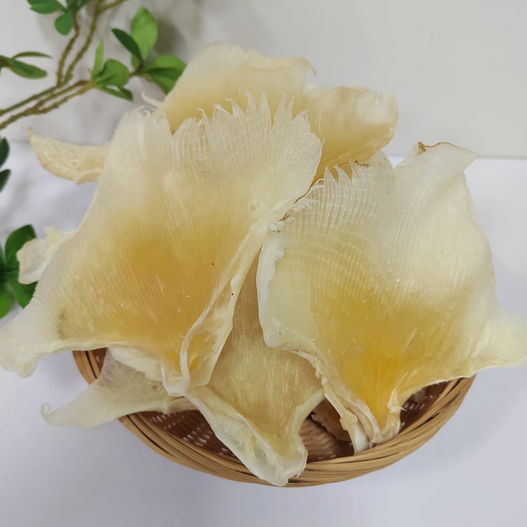 【明明海味】中大号海狗刺天星刺鳐鱼大翅干海产品干货