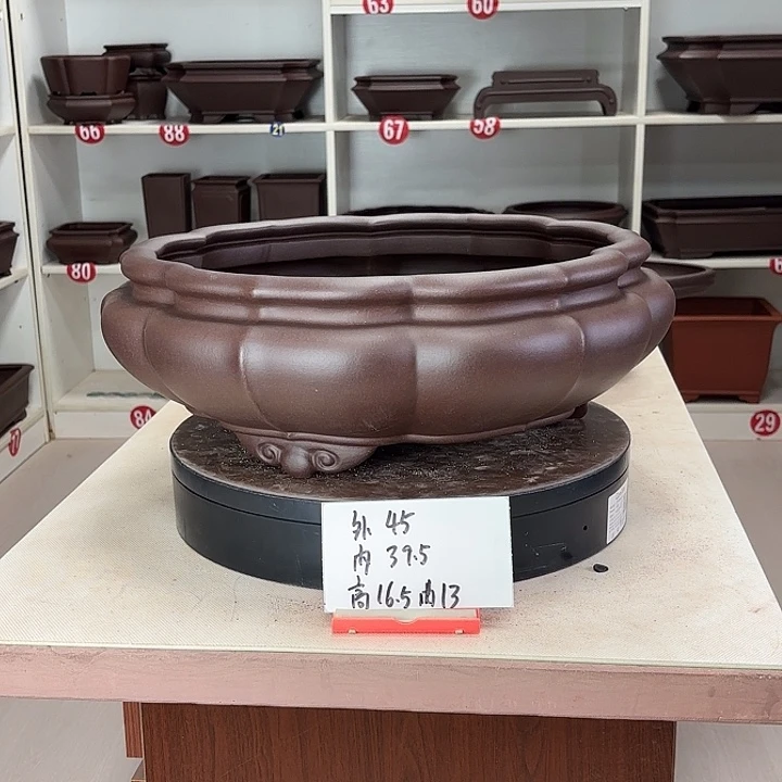 紫砂花盆莲台观心大