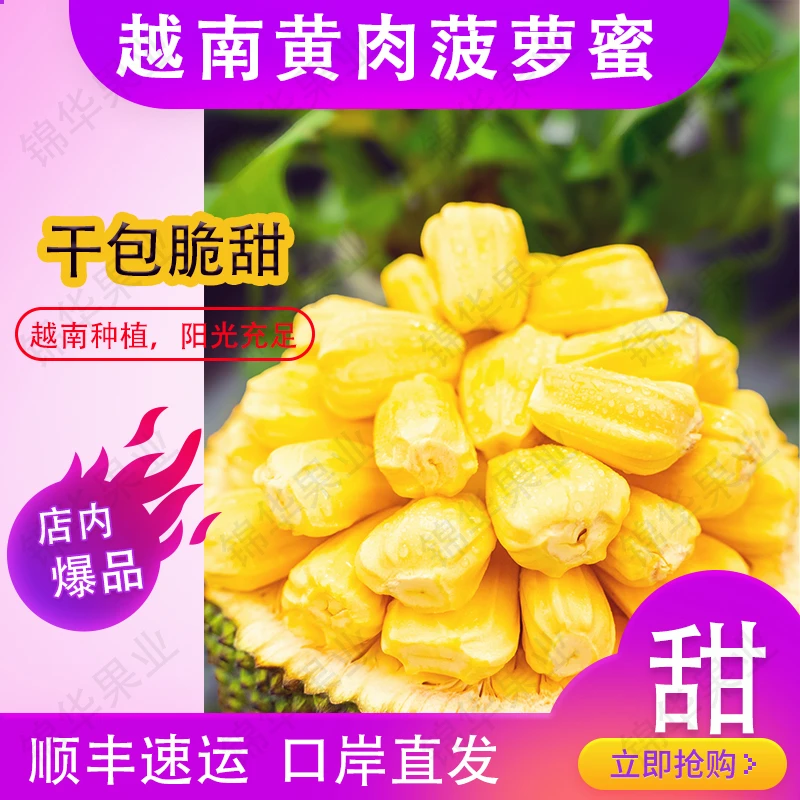 ·⟦顺丰包邮⟧·越南红黄肉菠萝蜜 干苞脆甜热带水果新鲜口岸直发