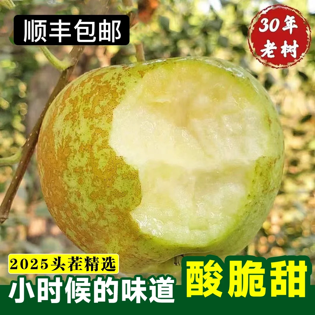 【今天拍/明天到】正宗金帅苹果小时候味道2斤/4.5斤/8斤江苏省