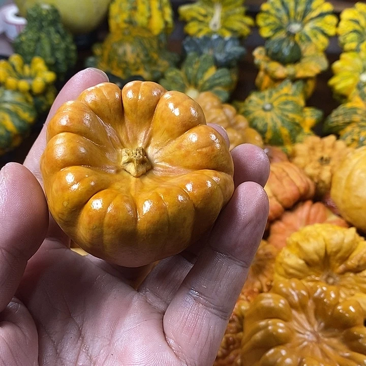 @***咖布艺铁合金346998653368900