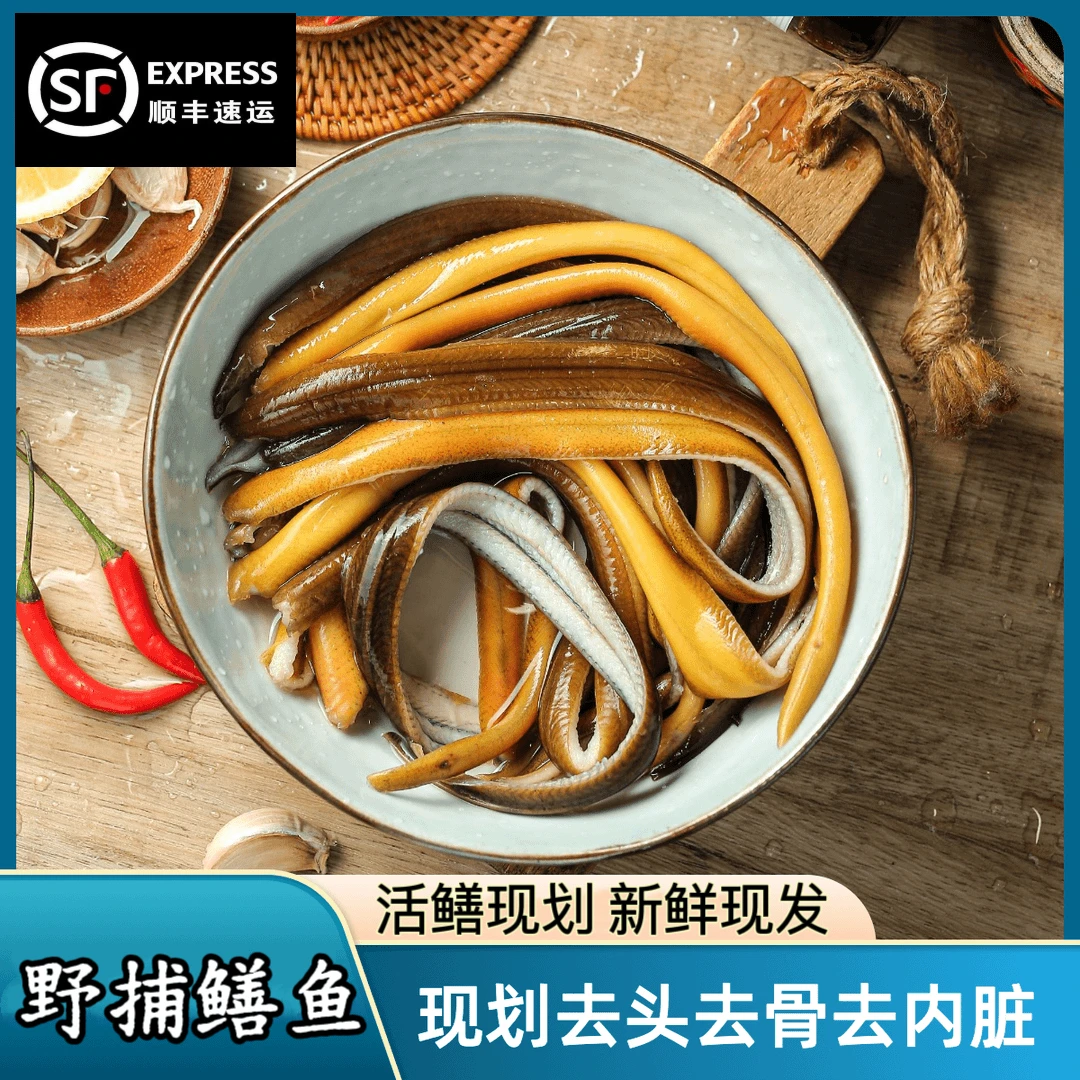 【顺丰速发】新鲜黄鳝丝鳝鱼鲜活现杀去头去骨去内脏冷链速发水产