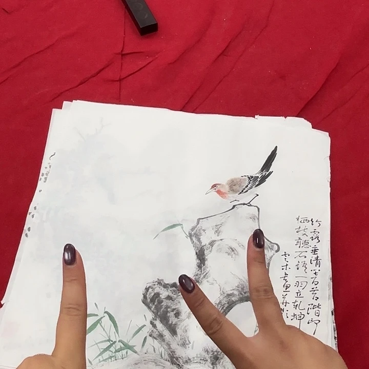 用***7国画花鸟等多种鸟类的栖息环境中