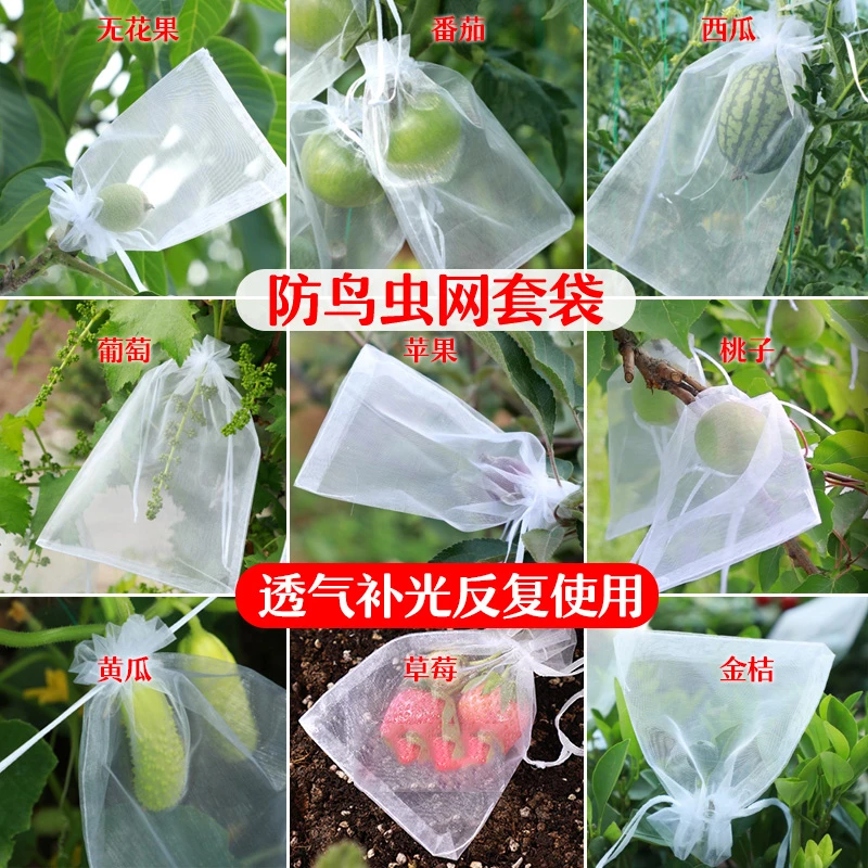 水果套袋防鸟防虫透气专用网袋葡萄无花果枇杷草莓杨桃子保护袋子