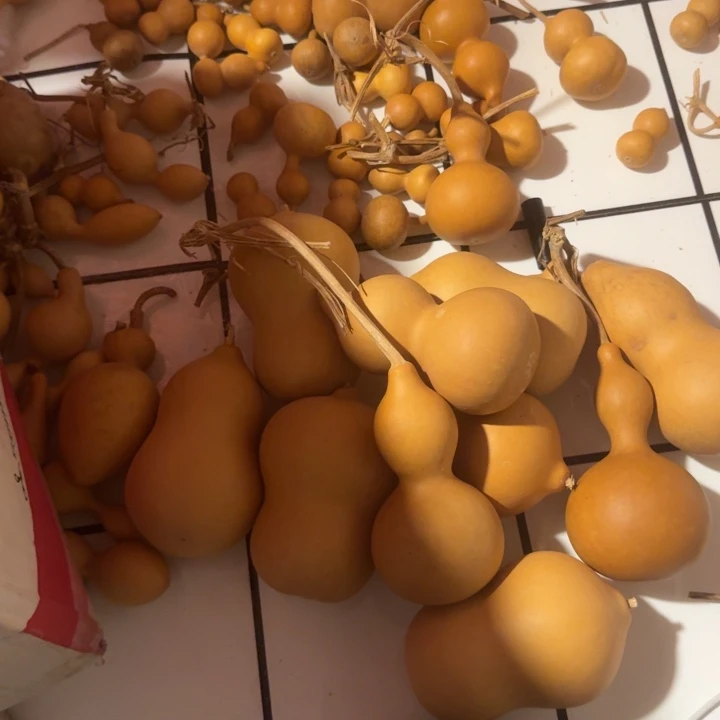 无***术艺术家的一个重要