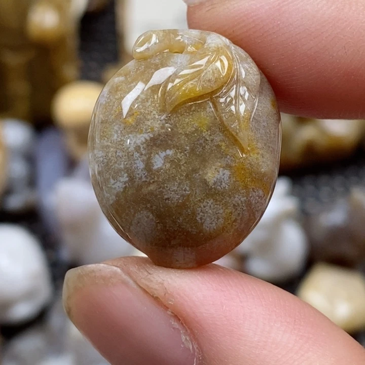 颈饰未镶嵌硅化珊瑚（珊瑚玉）小