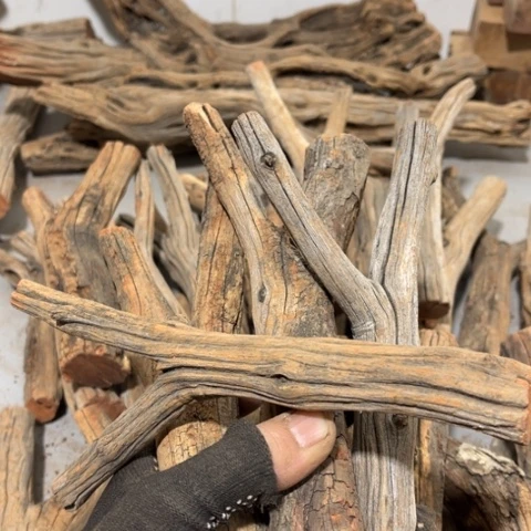 大果紫檀（缅甸花梨）@**@