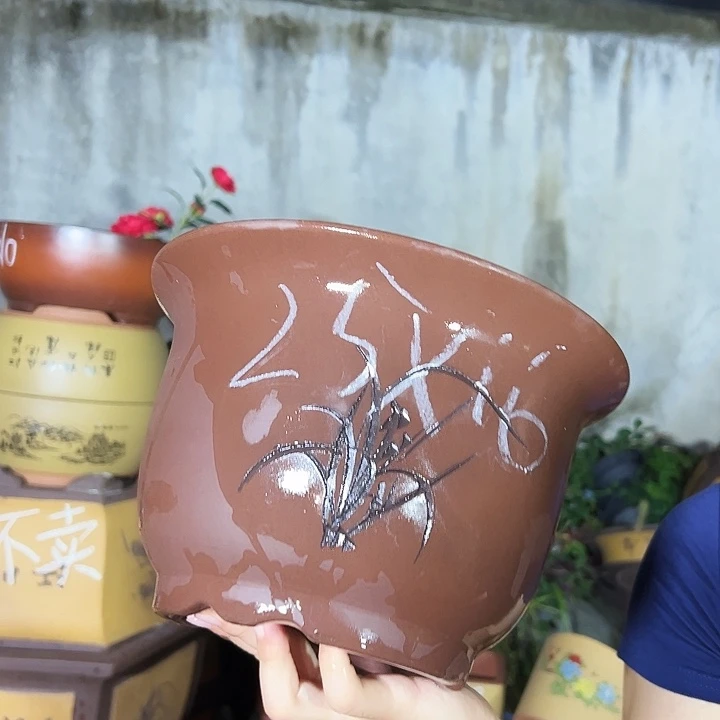 25平角金钟花盆花盆花盆