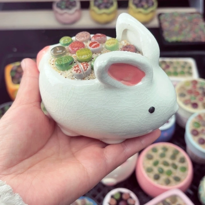 533零下地区记得拍保温箱满18包邮