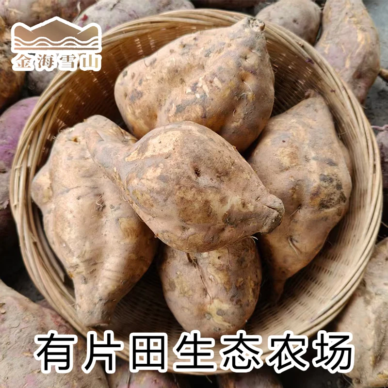 【农场自销】贵定金海雪山新鲜番薯2.5kg 5斤