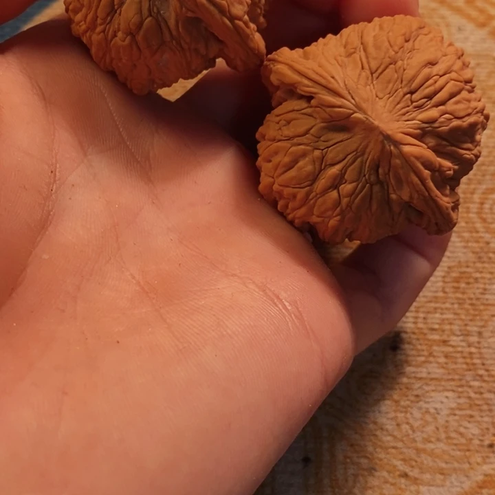 文玩核桃吊坠全品泥鳅背44