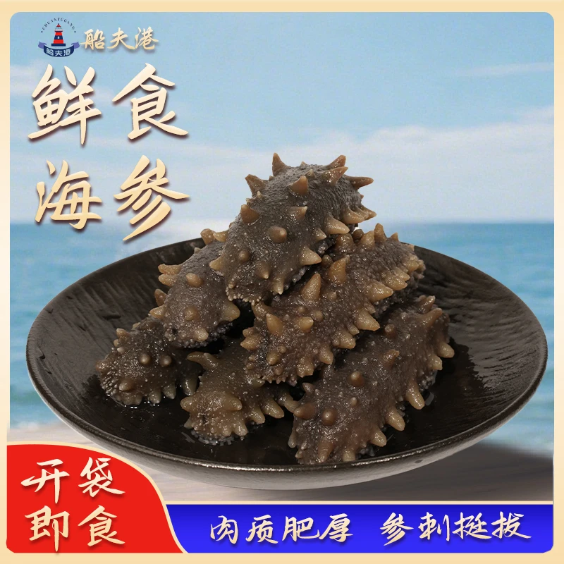【顺丰冷链】船夫港12-14头大连辽刺参 鲜食即食 口感Q弹海参