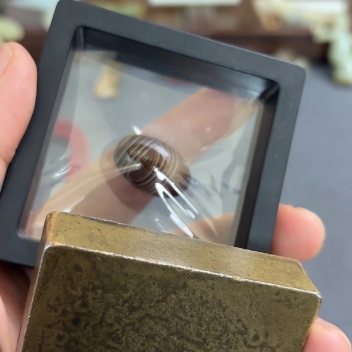 干***）如图所示一物一拍