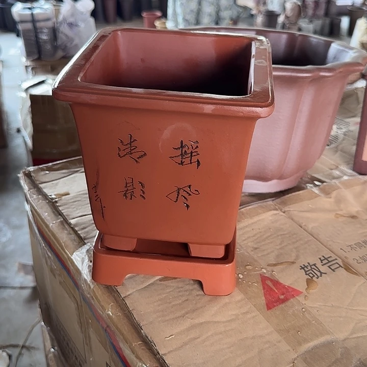 用***6两盆两托盘特价专拍18×18