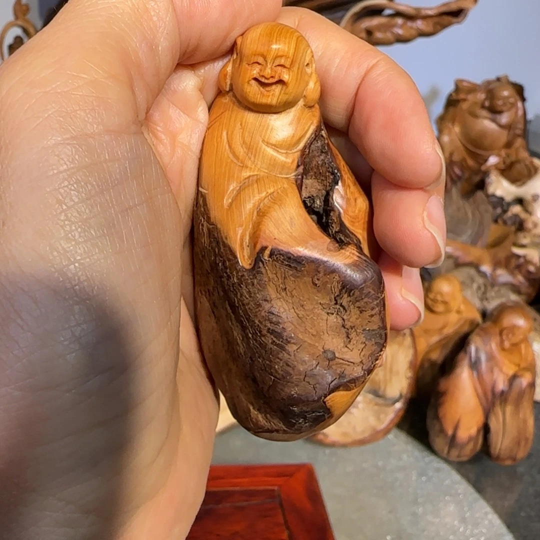 猫***啡柏木太行崖柏888888