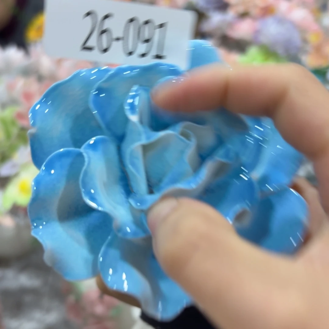 瑕疵2691 拍满20包邮，退款拉黑