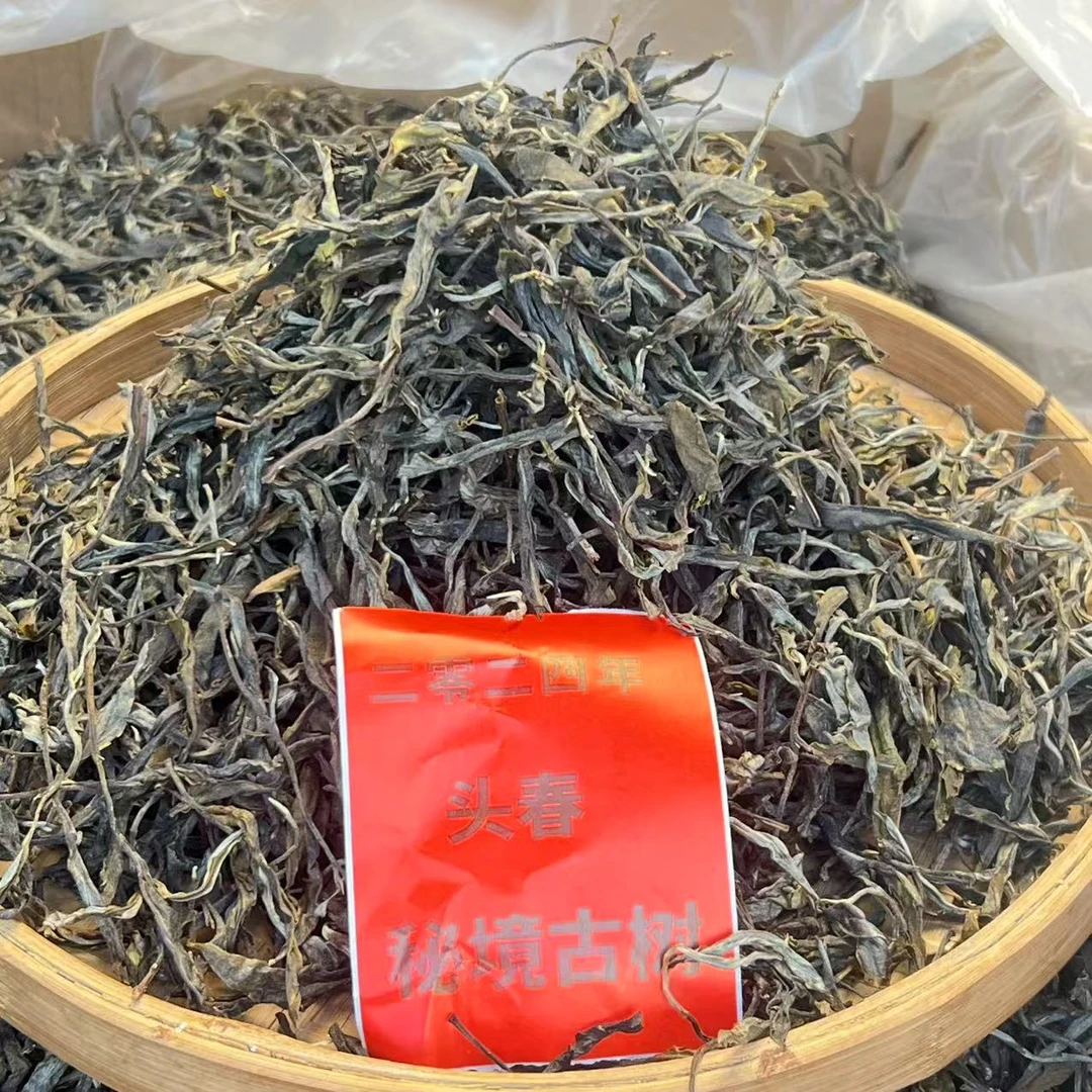 开播品宣福利亏米种草2024年古树秘境头春散茶生茶兰香蜜韵味