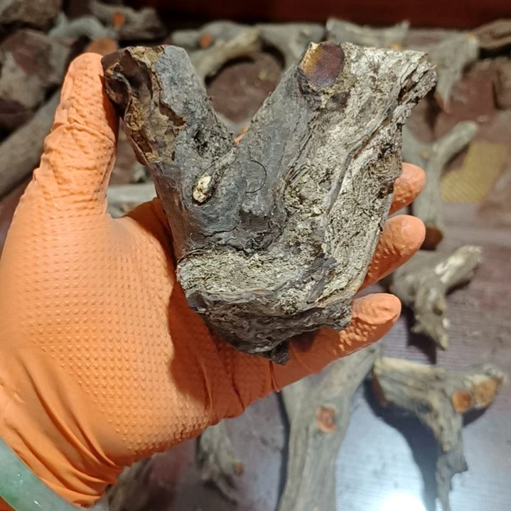 梁****香榧木火琉璃疙瘩毛料毛料毛料