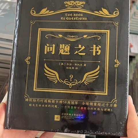 问题之书  10  闪购闪购