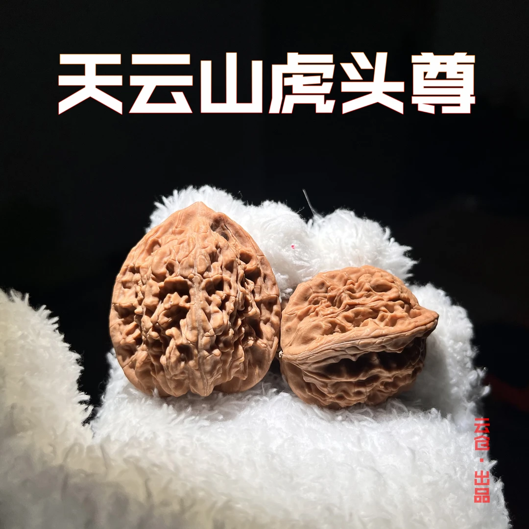 YC0913-18【2025新果定制级头货原生树天云山虎头尊】涞水好物