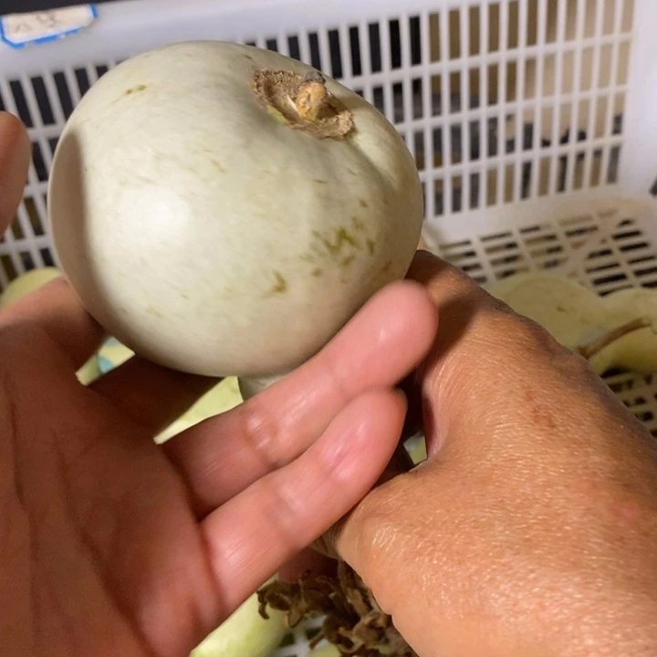 p***n青皮葫芦手把件葫芦