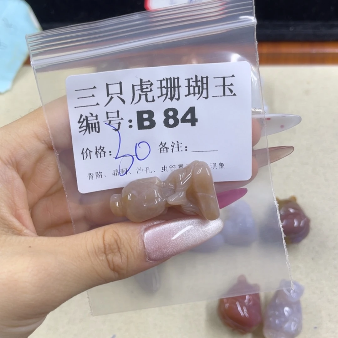 沫***沫硅化珊瑚（珊瑚玉）h未镶嵌