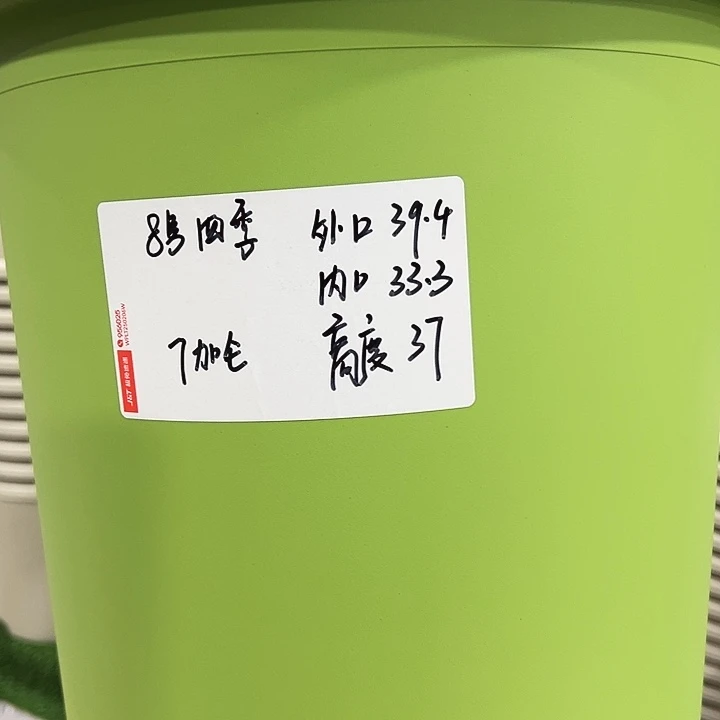 特价8号四季盆口39高37白色无托3支