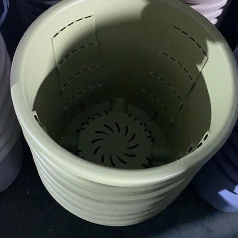 树脂测7果绿无托4个