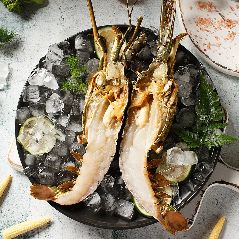 【冷冻发货】8-9两小青龙 新鲜青龙虾龙虾生冻青龙仔小青龙顺丰发货