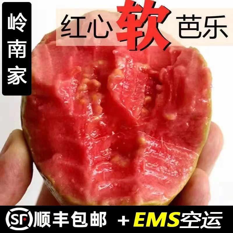 【香软大果】广西软心红心番石榴新鲜水果红心软芭乐净重3/5斤