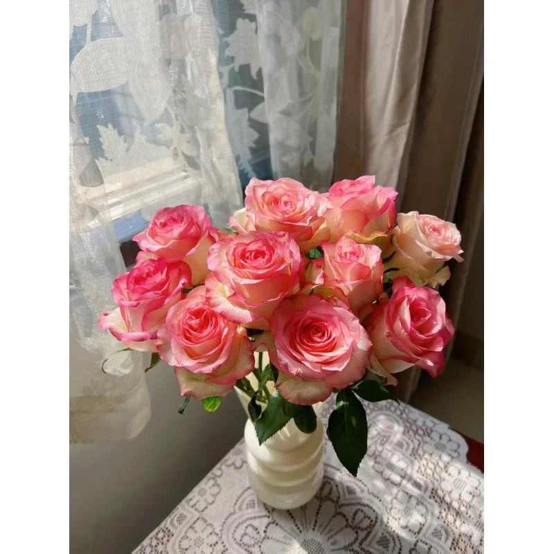 【云南鲜花】艾莎单头玫瑰
