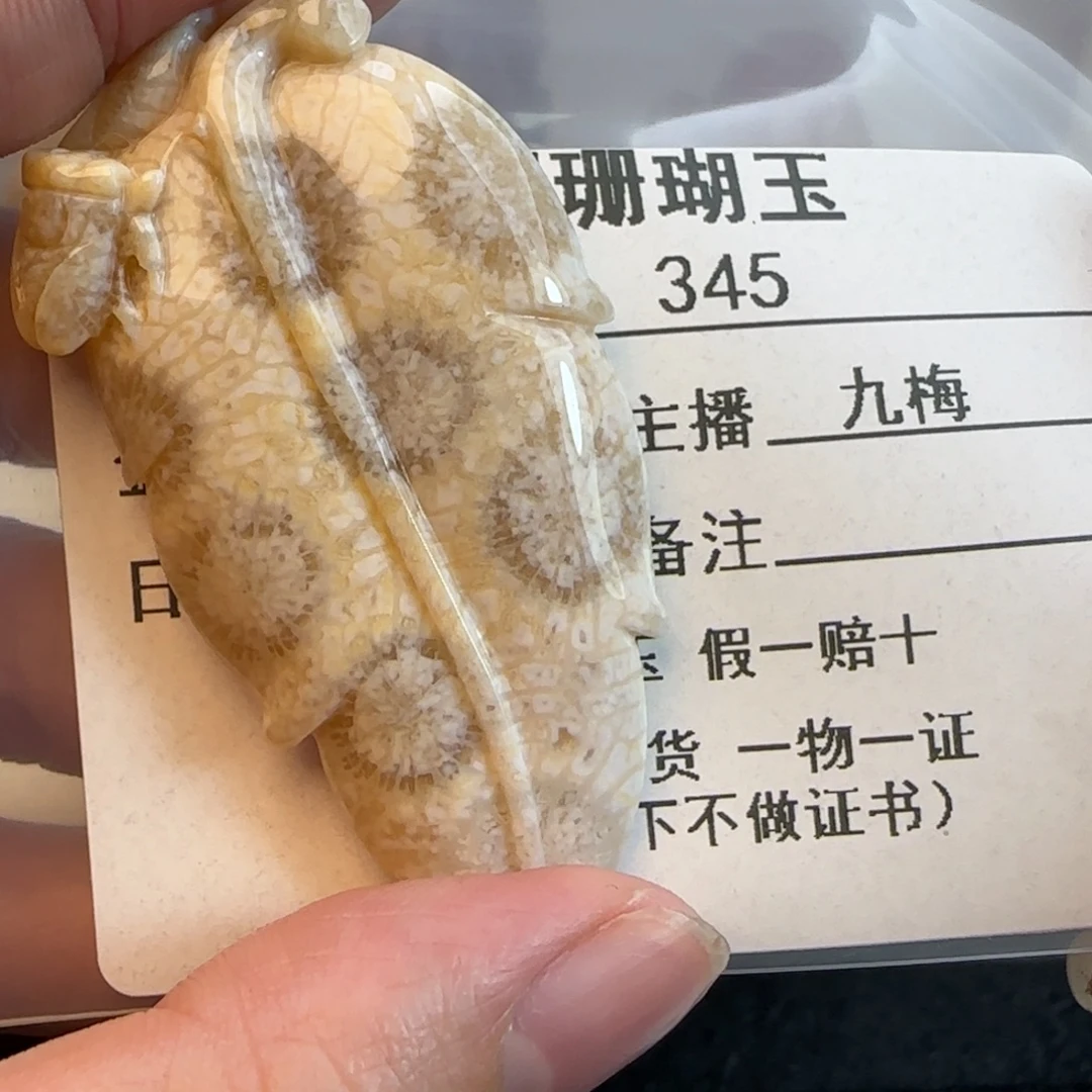 ****️硅化珊瑚（珊瑚玉）未镶嵌吊坠(不含链)
