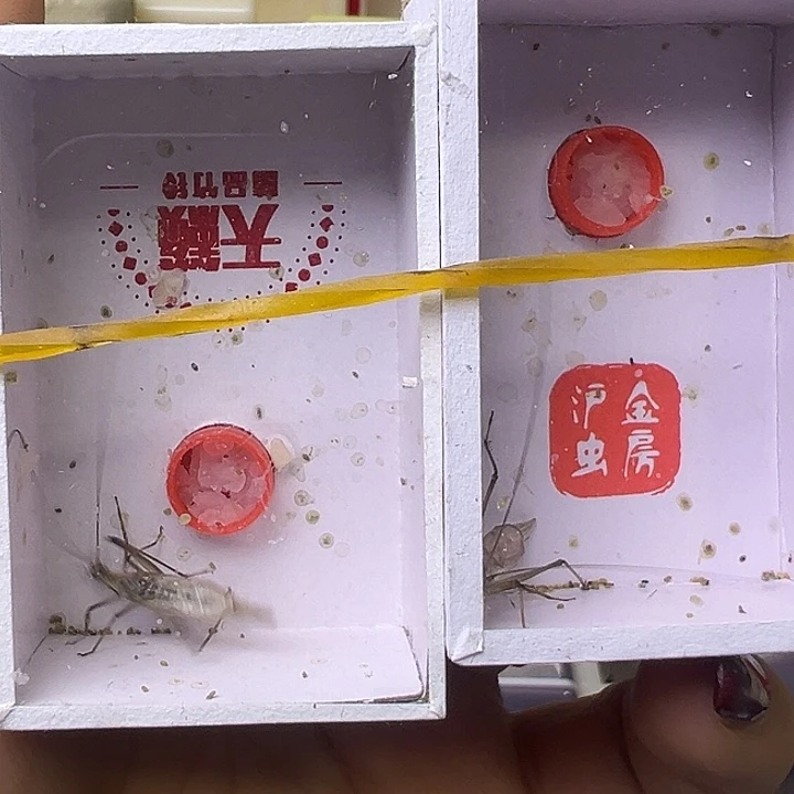 哈哈哈哈哈哈哈哈哈哈哈哈哈哈