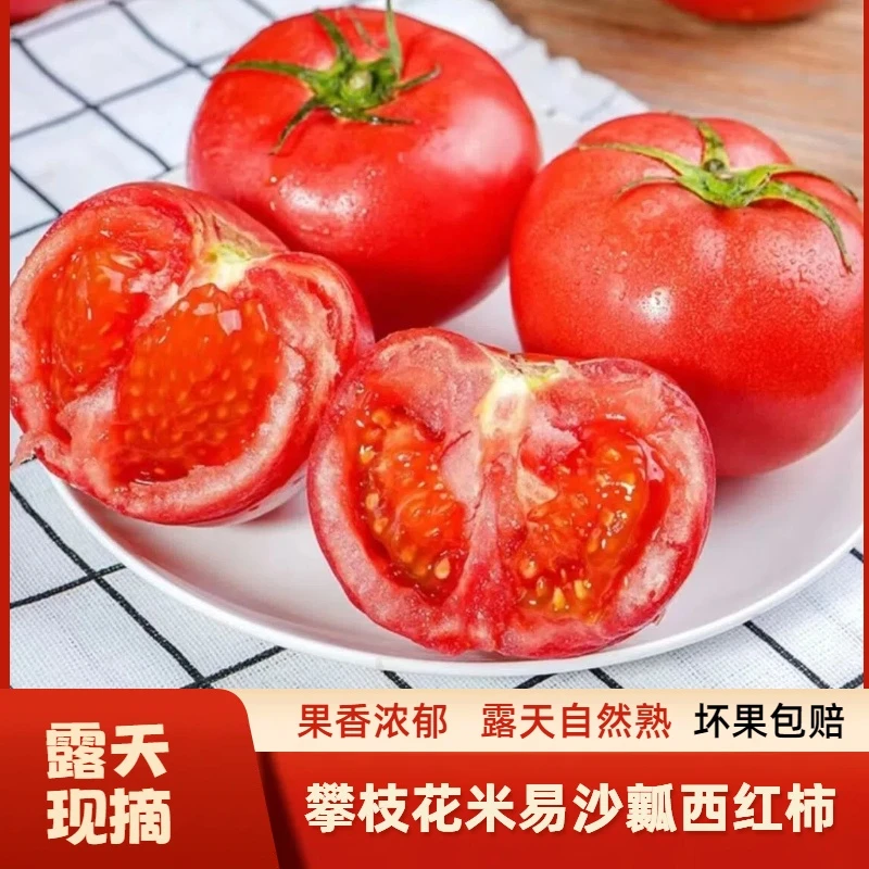 攀枝花沙瓤现摘西红柿露天农家自然熟新鲜孕妇水果蔬菜水果3-5斤