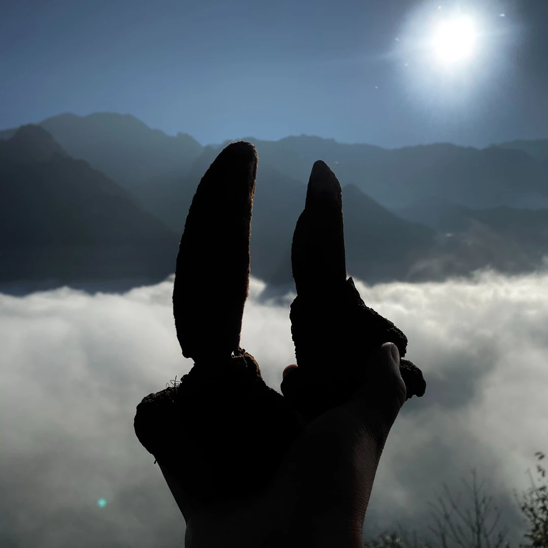 农家山货乾坤柱250g