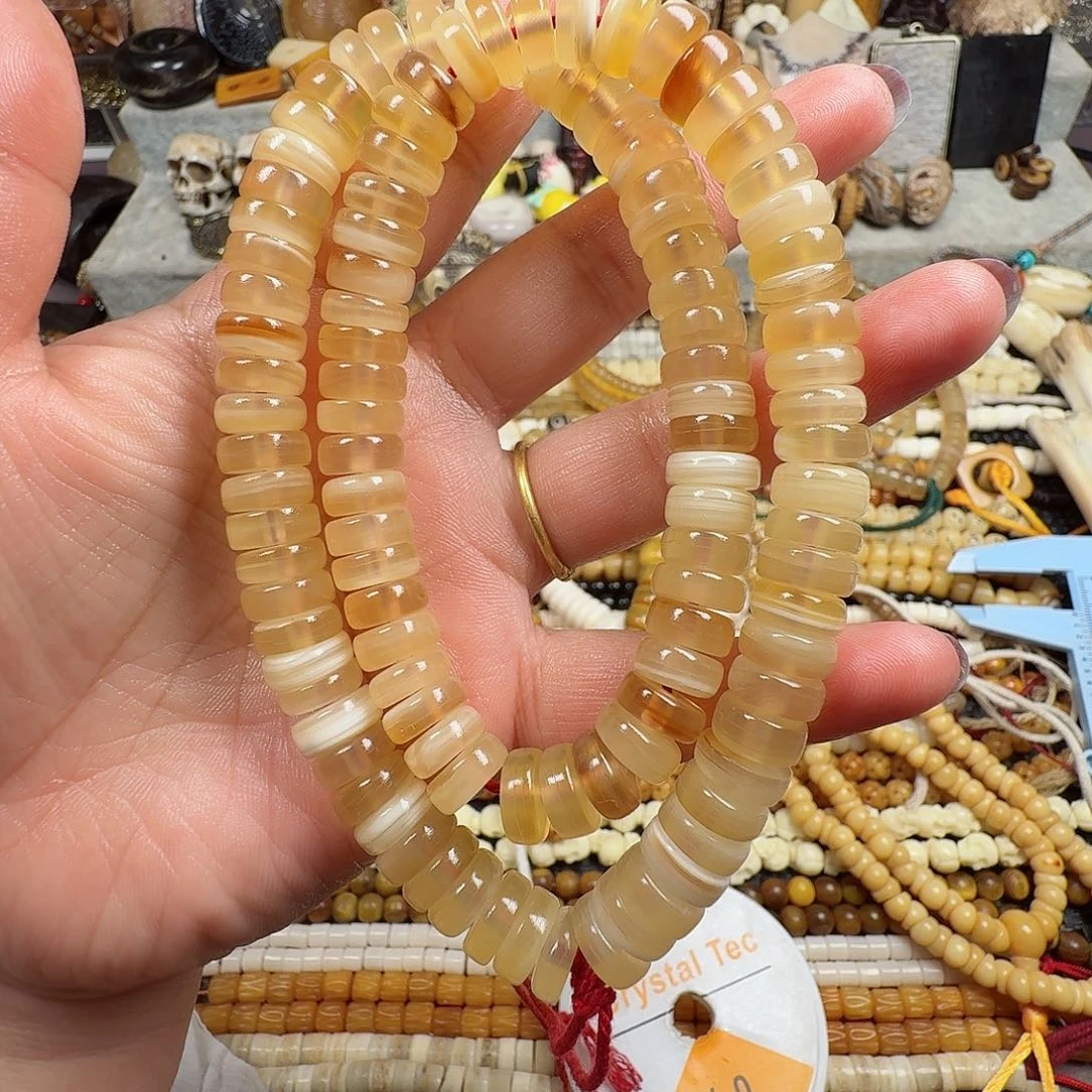 牛骨其他0000000000257