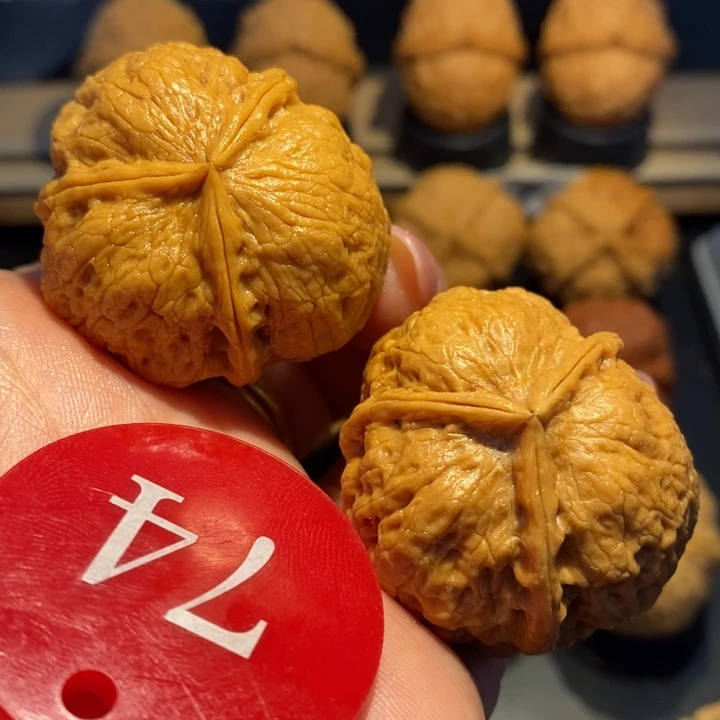 三棱本本核桃尺寸38