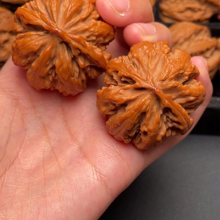 菩提籽类秦岭野生核桃文玩