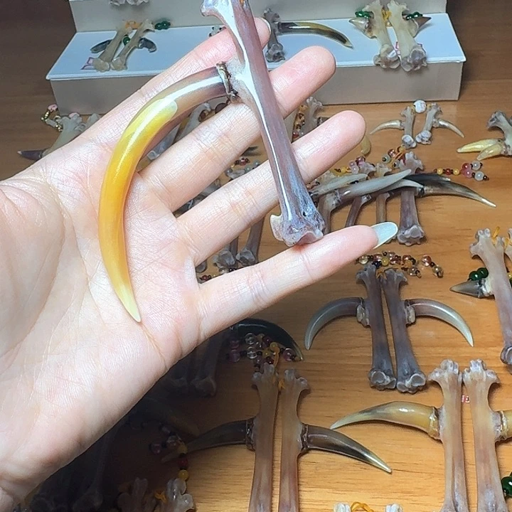 把件鸡骨（鸡脚）耳**详鸡爪骨单只