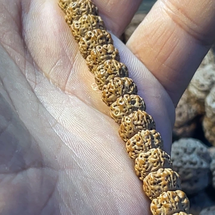 金刚菩提手串老树王