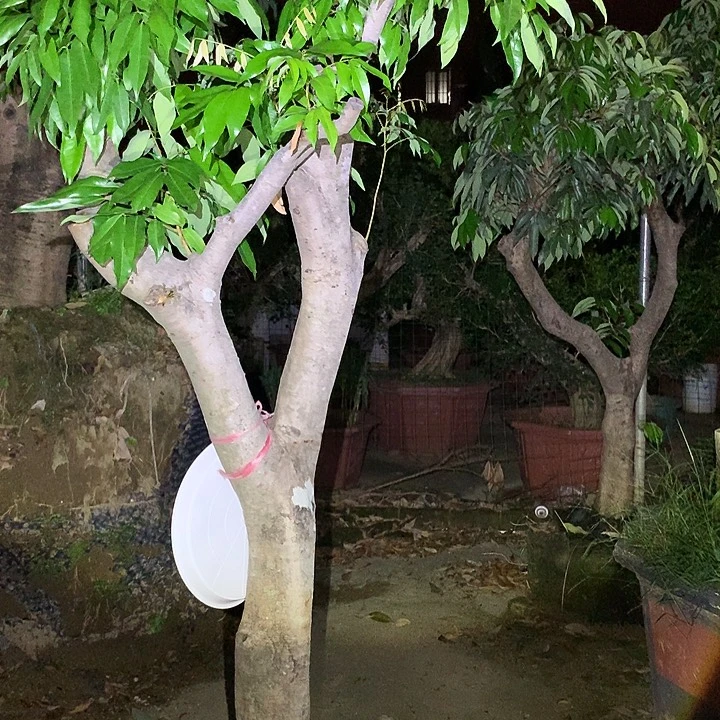 何***良完全开放134678654335578743356666