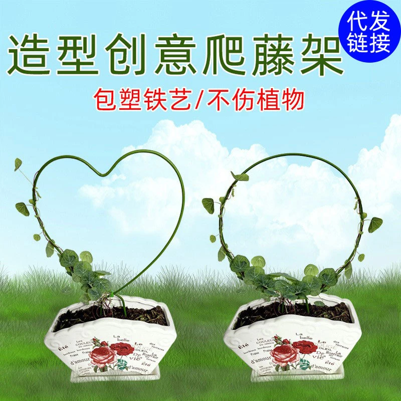 室内铁艺圆形心形雪莹山乌龟甲龙兰造型花架爬藤架子植物支架