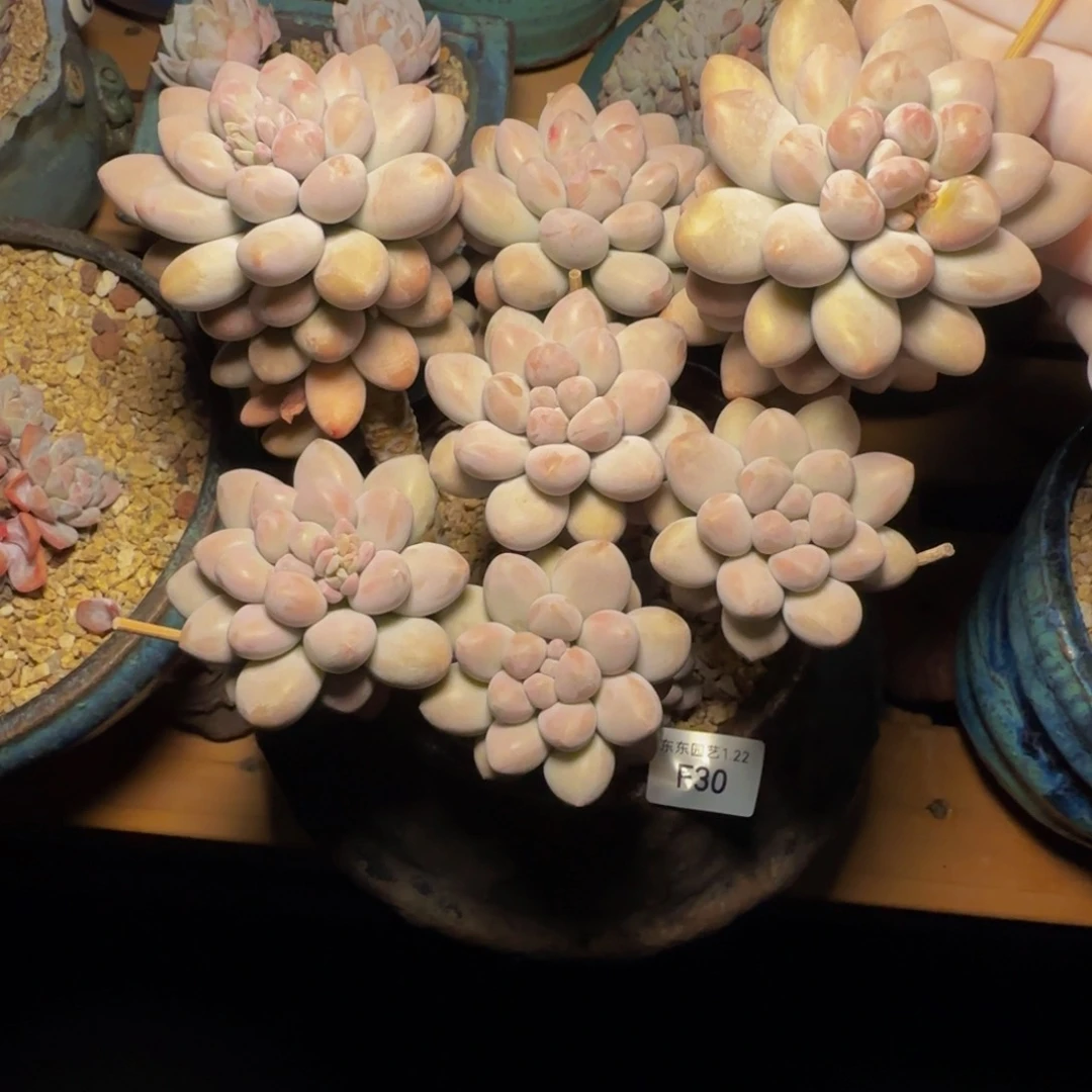 f f f f f f f f f f 30