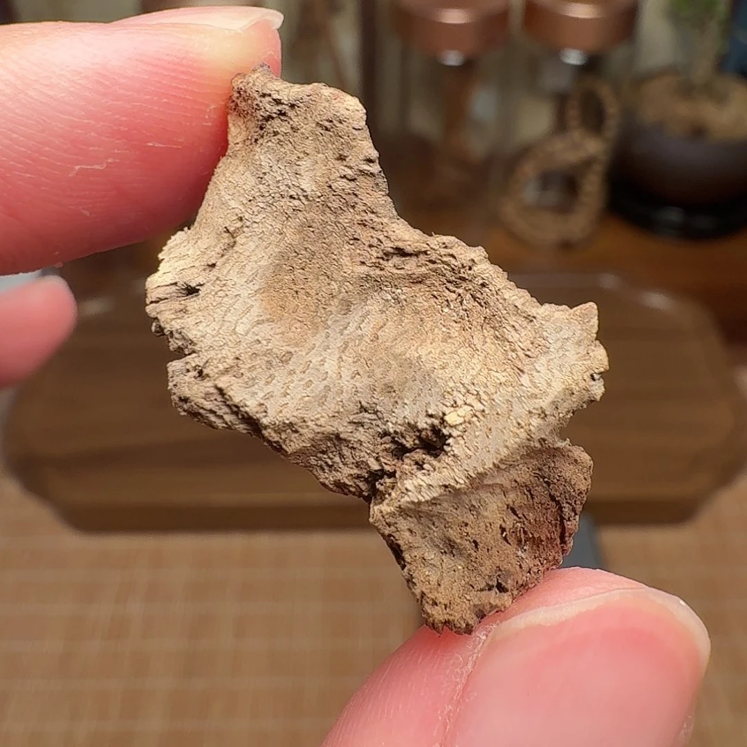 沉香0.56g海南鸡母虫漏