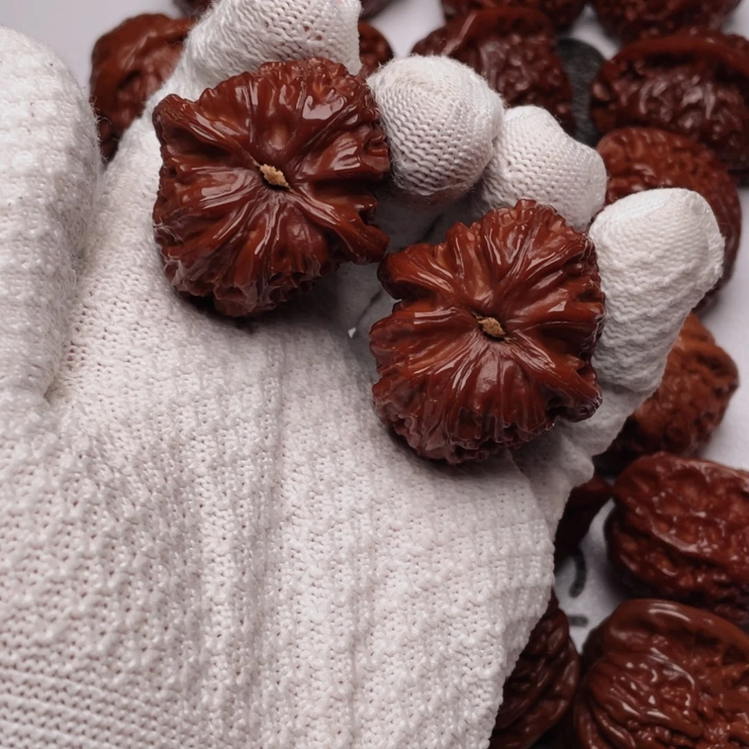 天***人文玩核桃把件白狮子文玩核桃