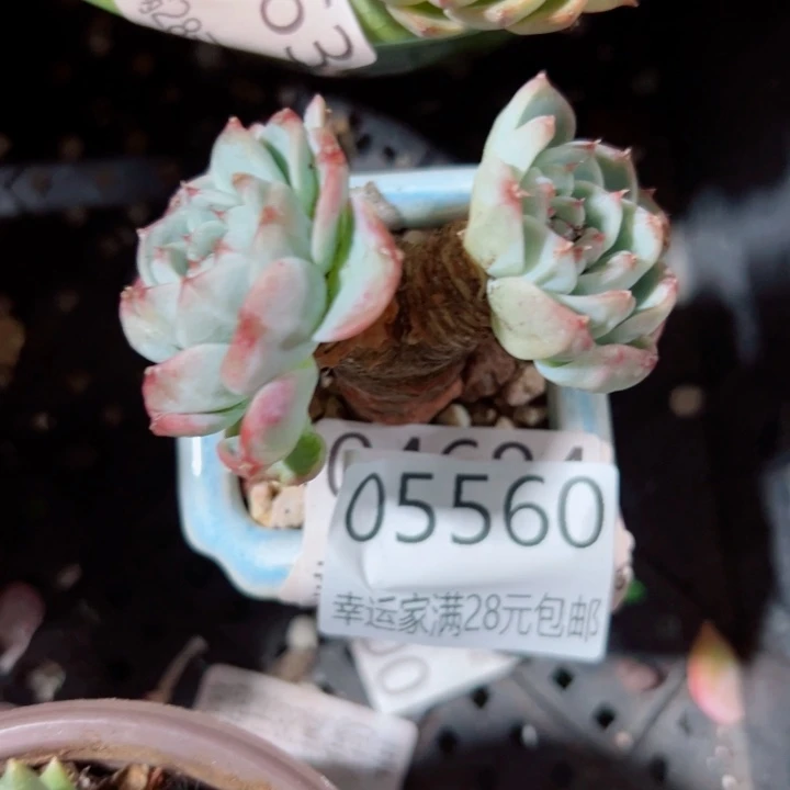 幸运的是我还没遇到