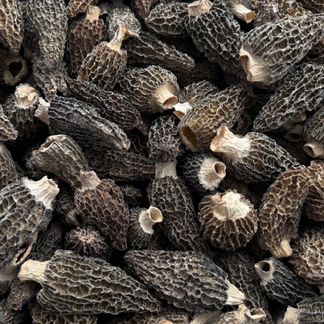 捡漏味香味型羊肚菌0911