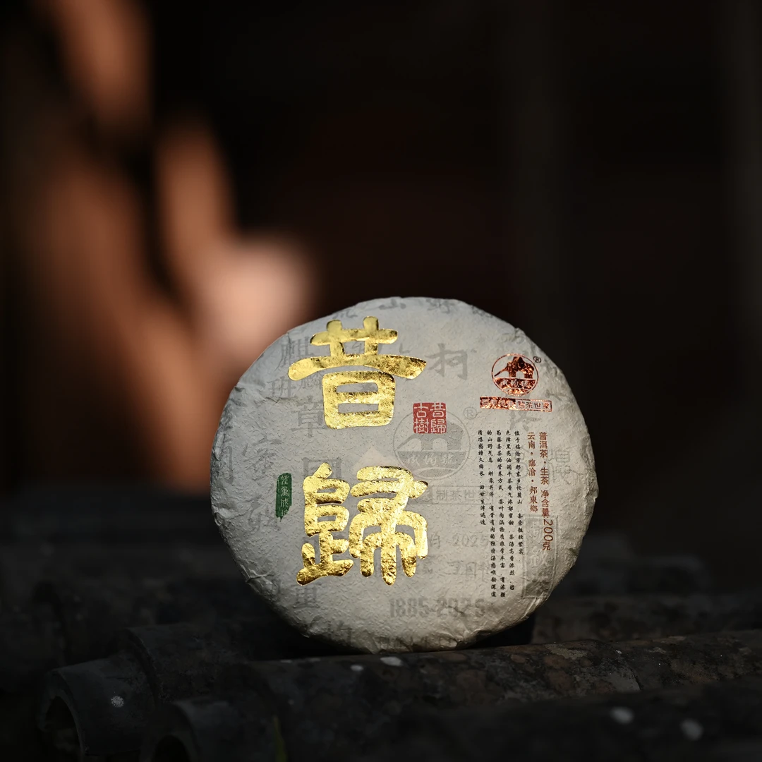 《昔归》  200克   饼茶 普洱生茶 2025年 头春头采