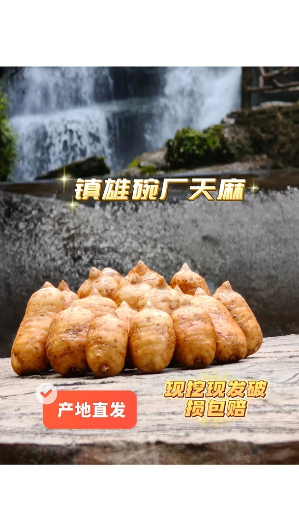 镇雄碗厂天麻煲汤炖鸡